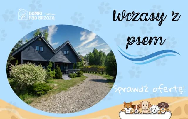 Noclegi z psem w Niechorzu: Wypoczynek z pupilem nad morzem Noclegi z psem w Niechorzu: Wypoczynek z pupilem nad morzem