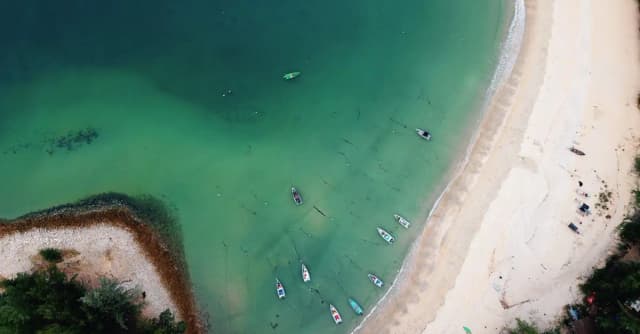 Plaża w Mikoszewie: Piękne i spokojne miejsce nad Bałtykiem Plaża w Mikoszewie: Piękne i spokojne miejsce nad Bałtykiem
