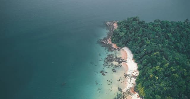 Ośrodek Stegna: Komfortowe miejsce na wypoczynek Ośrodek Stegna: Komfortowe miejsce na wypoczynek