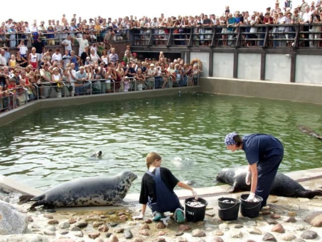 Fokarium Hel jak dojechać - najlepsze sposoby na odwiedzenie atrakcji Fokarium Hel jak dojechać - najlepsze sposoby na odwiedzenie atrakcji